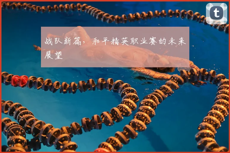 战队新篇，和平精英职业赛的未来展望